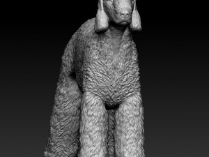 Bedlington 3D Print Model