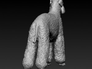 Bedlington 3D Print Model