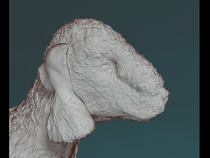 Bedlington 3D Print Model
