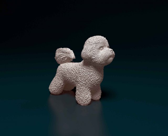 Bichon Frise 3D Print Model .c4d .max .obj .3ds .fbx .stl .blend 