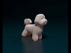 Bichon Frise 3D Print Model
