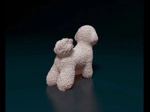 Bichon Frise 3D Print Model