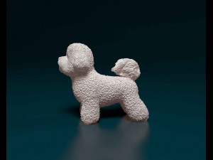 Bichon Frise 3D Print Model
