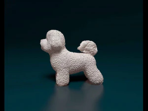 Bichon Frise 3D Print Model