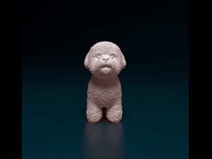 Bichon Frise 3D Print Model