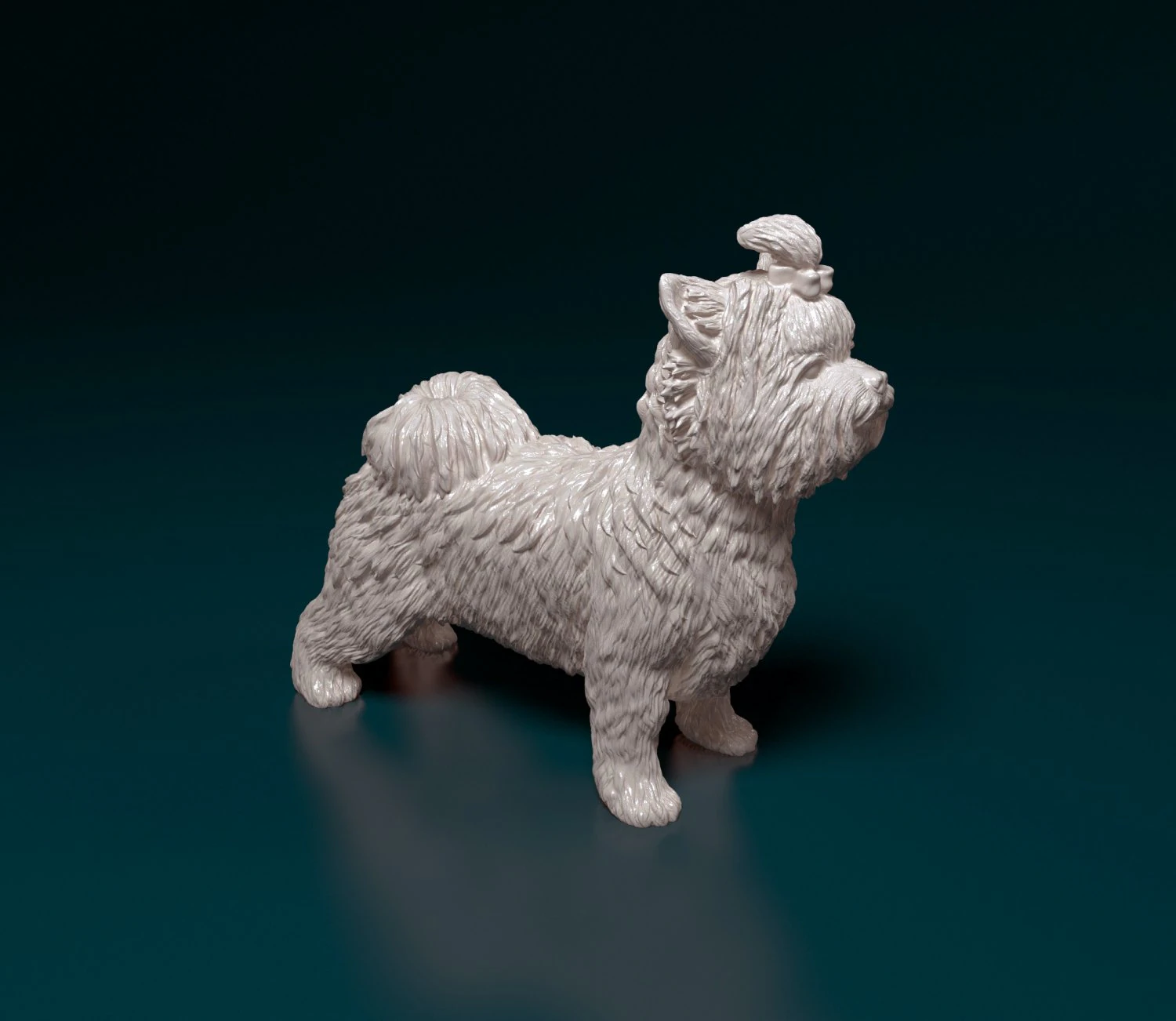 Biewer Yorkshire terrier 3D Print Model .c4d .max .obj .3ds .fbx .stl .blend 
