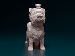 Biewer Yorkshire terrier 3D Print Model