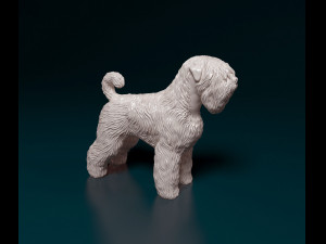 Black russian terrier 3D Print Model