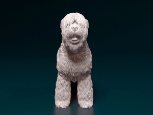 Black russian terrier 3Dプリントモデル