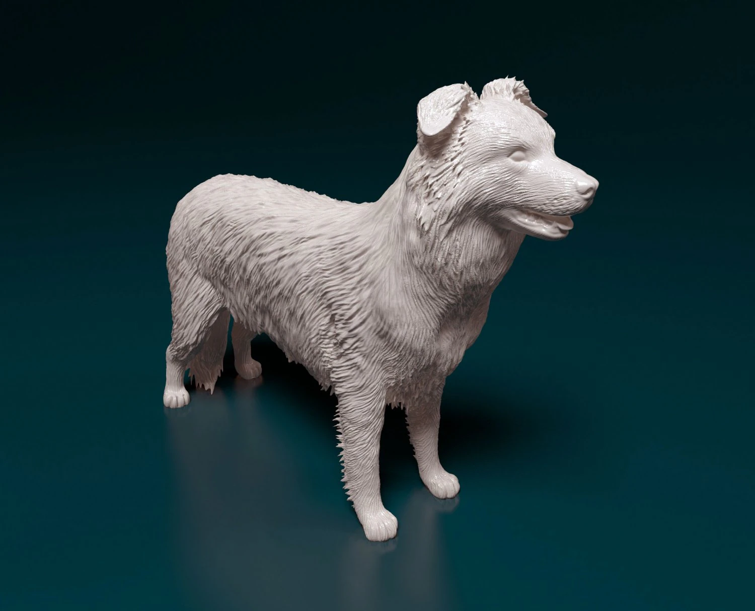 Border Collie 3D Print Model .c4d .max .obj .3ds .fbx .stl .blend 