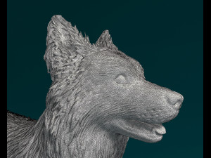 Border Collie 3D Print Model