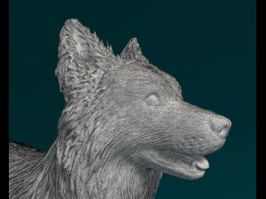Border Collie 3D Print Model