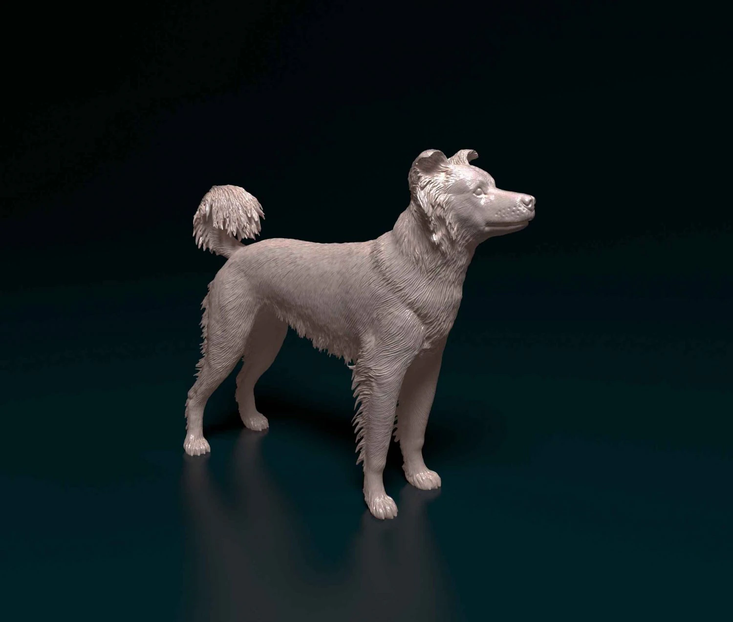 Border Collie cross 3D Print Model .c4d .max .obj .3ds .fbx .stl .blend