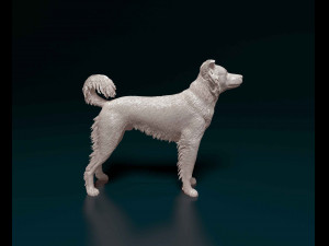Border Collie cross 3D-Druckmodell