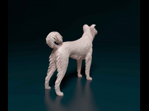 Border Collie cross 3D-Druckmodell