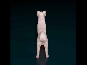 Border Collie cross 3D-Druckmodell