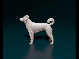 Border Collie cross 3D-Druckmodell