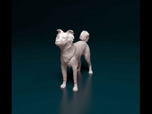 Border Collie cross 3D-Druckmodell