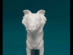 Border Collie cross 3D-Druckmodell