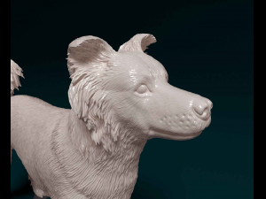 Border Collie cross 3D-Druckmodell
