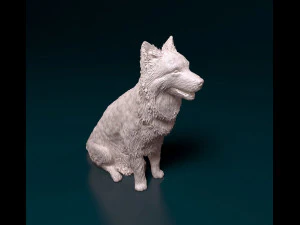 Border Collie sitting 3D Print Model