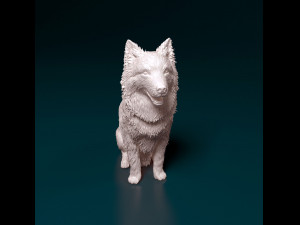 Border Collie sitting 3D Принт Модель