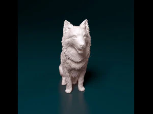 Border Collie sitting 3D Print Model
