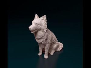 Border Collie sitting 3D Принт Модель