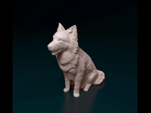 Border Collie sitting 3D Print Model