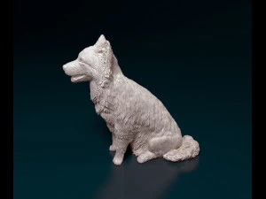 Border Collie sitting 3D Print Model