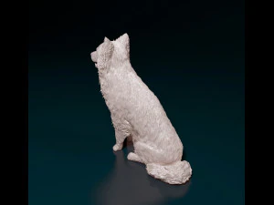 Border Collie sitting 3D Print Model