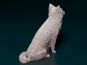 Border Collie sitting 3D Принт Модель