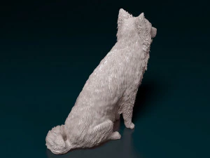 Border Collie sitting 3D Print Model