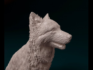 Border Collie sitting 3D Принт Модель