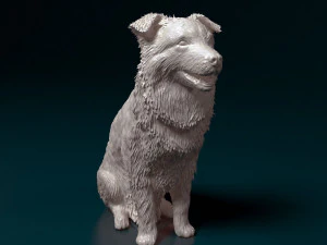 Border Collie sitting 3D Print Model