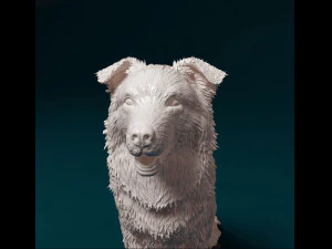 Border Collie sitting 3D Print Model