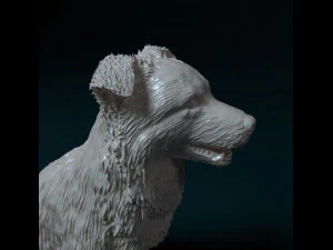 Border Collie sitting 3D Print Model