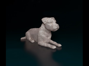 Border terrier 3D Print Model
