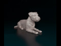 Border terrier 3D प्रिंट मॉडल