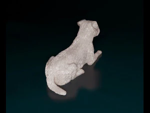 Border terrier 3D Print Model