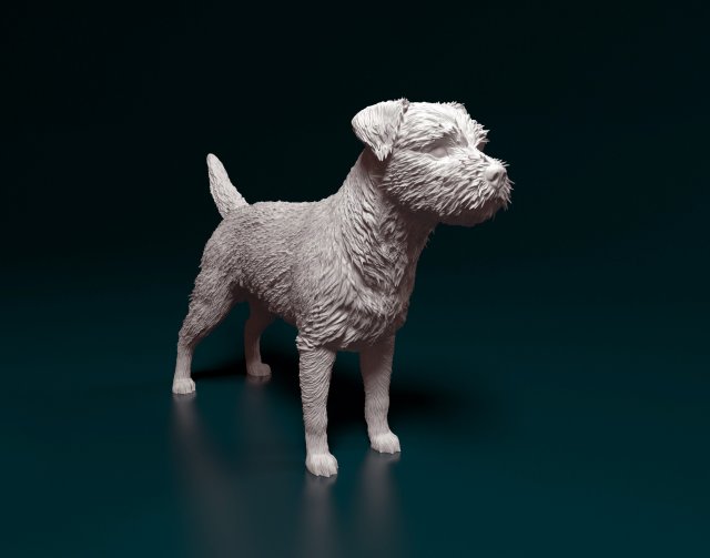 Border terrier dog 3D Принт Модель .c4d .max .obj .3ds .fbx .stl .blend 