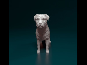 Border terrier dog 3D Принт Модель