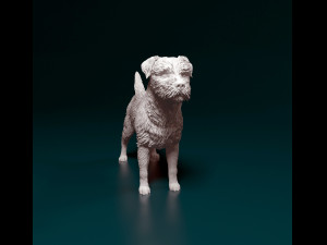 Border terrier dog 3D Принт Модель