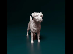 Border terrier dog 3D Print Model