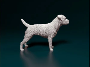Border terrier dog 3D Print Model