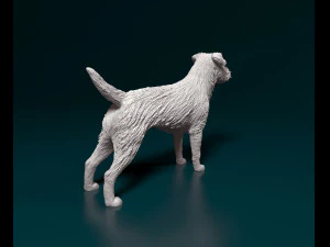 Border terrier dog 3D Print Model