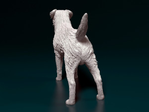 Border terrier dog 3D Принт Модель