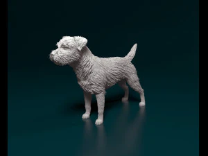Border terrier dog 3D Print Model