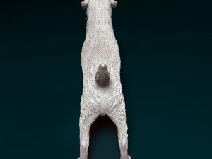 Border terrier dog 3D Print Model