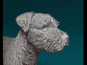 Border terrier dog 3D Print Model